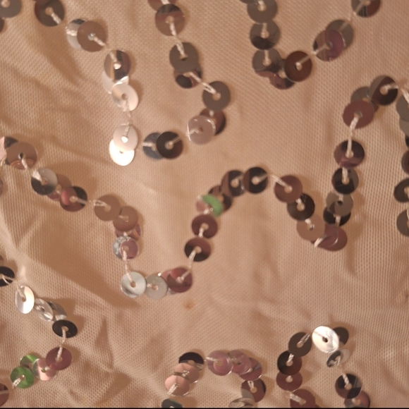 Sequin Tie-Front Sheer Creme Crop Top - Picture 5 of 12